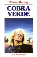 Cover of Cobra Verde