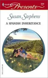 Cover of A Spanish Inheritance