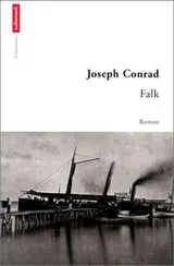Cover of Falk