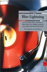 Cover of Blue Lightning