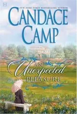 Cover of An Unexpected Pleasure