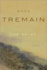Cover of The Colour