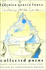 Cover of Collected Poems