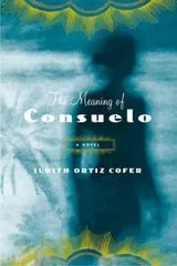 Cover of The meaning of Consuelo