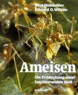 Cover of Ameisen