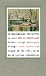 Cover of What the twilight says