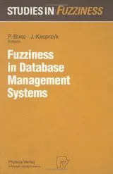 Cover of Fuzziness in database management systems