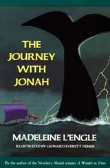 Cover of The journey with Jonah