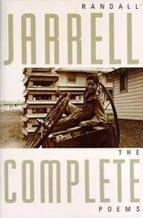 Cover of The complete poems