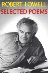 Cover of Selected Poems
