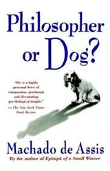Cover of Philosopher or Dog?