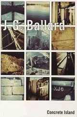Cover of Concrete island