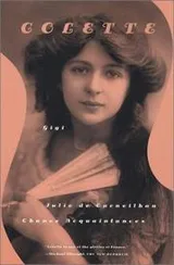 Cover of Gigi, Julie de Carneilha, and Chance Acquaintances