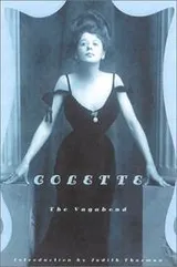 Cover of Vagabonde