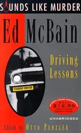 Cover of Driving Lessons