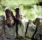 Cover of Walking artist