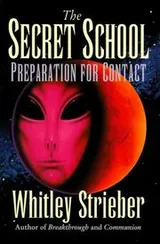 Cover of The Secret School