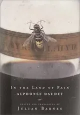 Cover of In the land of pain