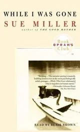 Cover of While I Was Gone