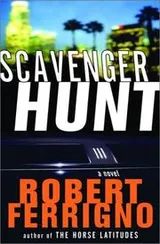 Cover of Scavenger hunt