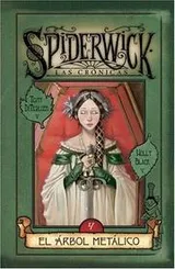 Cover of Spiderwick cronicas