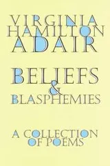 Cover of Beliefs and blasphemies
