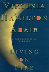 Cover of Living on Fire