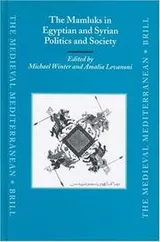 Cover of The Mamluks in Egyptian and Syrian politics and society