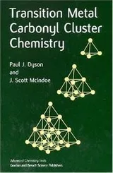 Cover of Transition metal carbonyl cluster chemistry