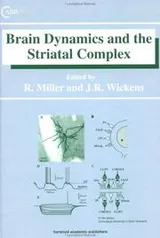 Cover of Brain Dynamics and the Striatal Complex