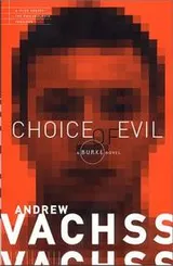 Cover of Choice of Evil