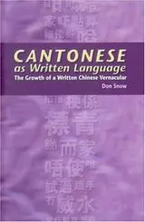 Cover of Cantonese as Written Language