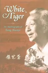 Cover of White Tiger