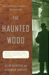 Cover of The haunted wood