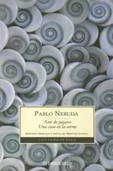 Cover of Arte de pájaros