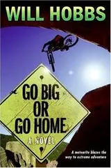 Cover of Go Big or Go Home