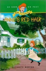 Cover of Anne's Red Hair (Anne-the Animated Series)