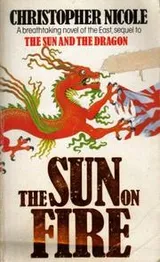 Cover of The Sun on Fire