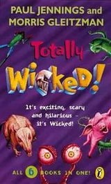 Cover of Wicked!