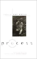 Cover of Process