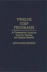 Cover of Twelve step programs