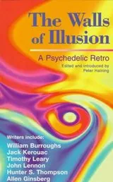 Cover of The Walls of Illusion