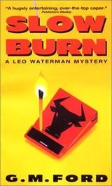 Cover of Slow Burn