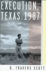 Cover of Execution, Texas :1987