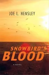 Cover of Snowbird’s Blood