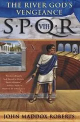 Cover of SPQR VIII