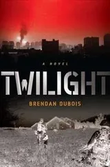 Cover of Twilight
