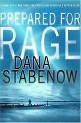 Cover of Prepared for rage