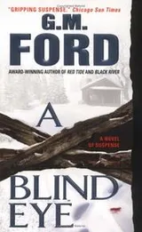 Cover of A Blind Eye