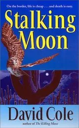 Cover of Stalking moon